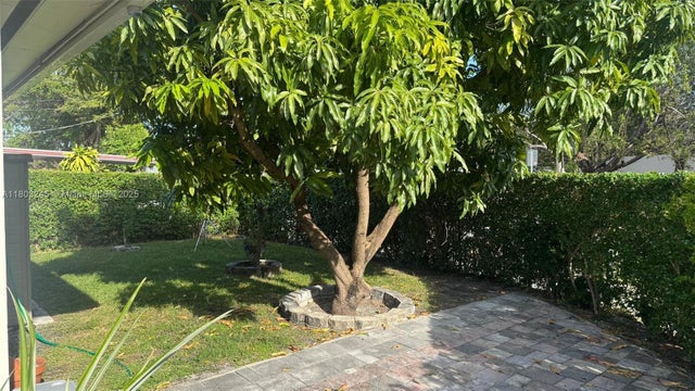 4 of 41 - 111 Sw 24th Ave, Miami, FL