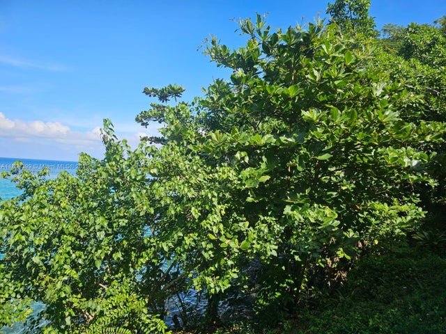 3 of 46 - 00 Estate With Cottages – Boscobel Beach, St. Mary, J, , 