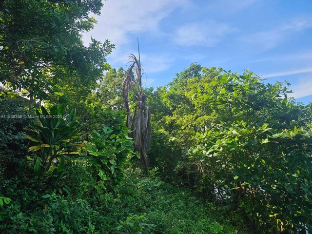 4 of 46 - 00 Estate With Cottages – Boscobel Beach, St. Mary, J, , 