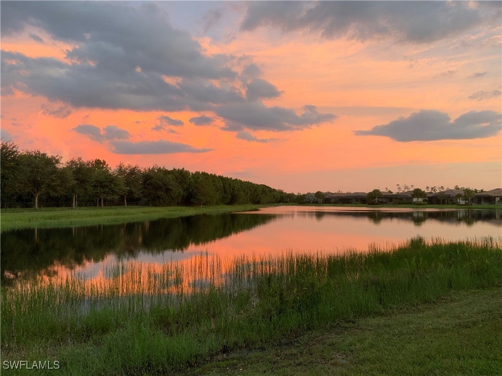 20309 Black Tree Ln, Estero