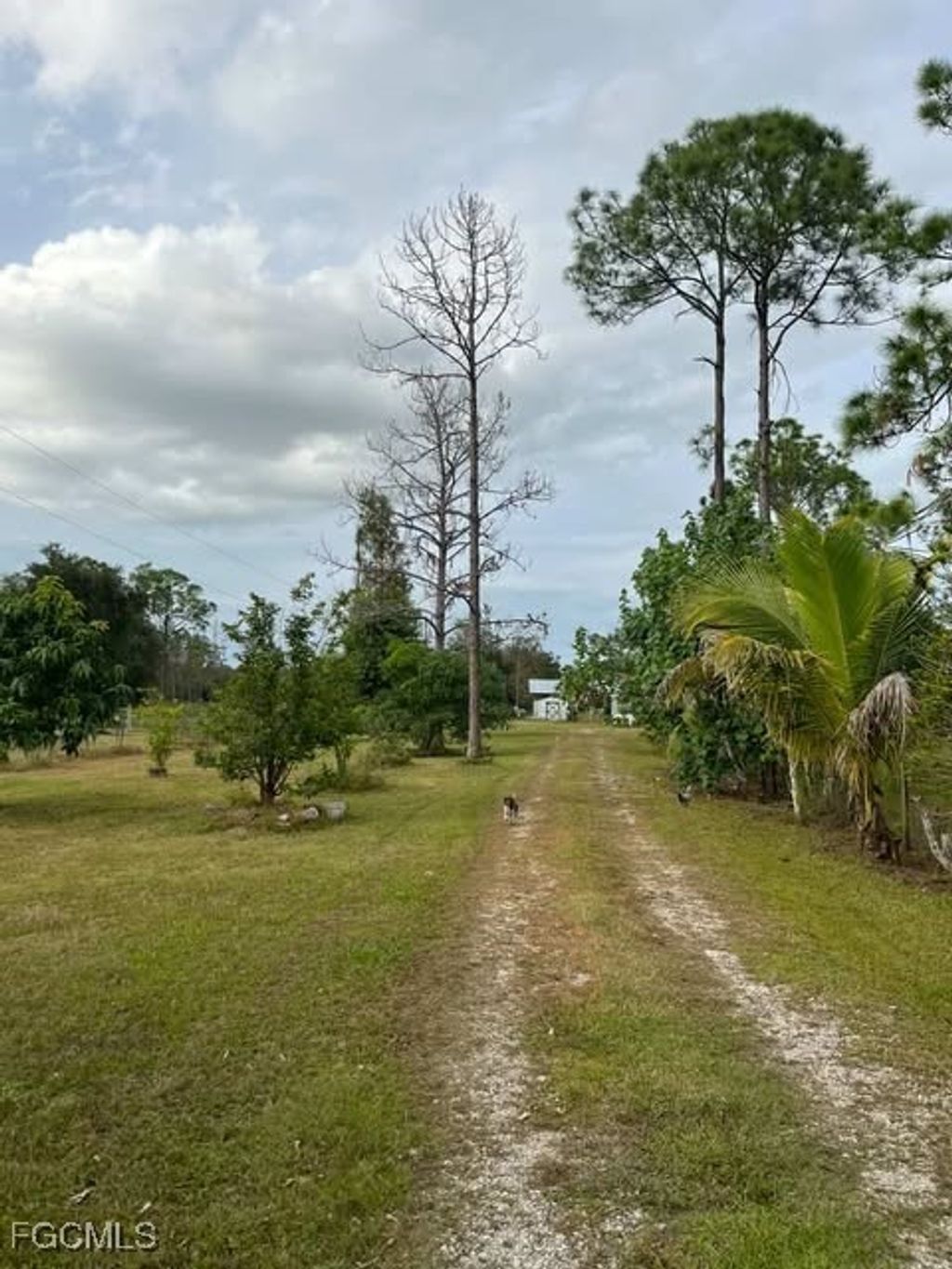 17181 Katydid Ln, FORT MYERS