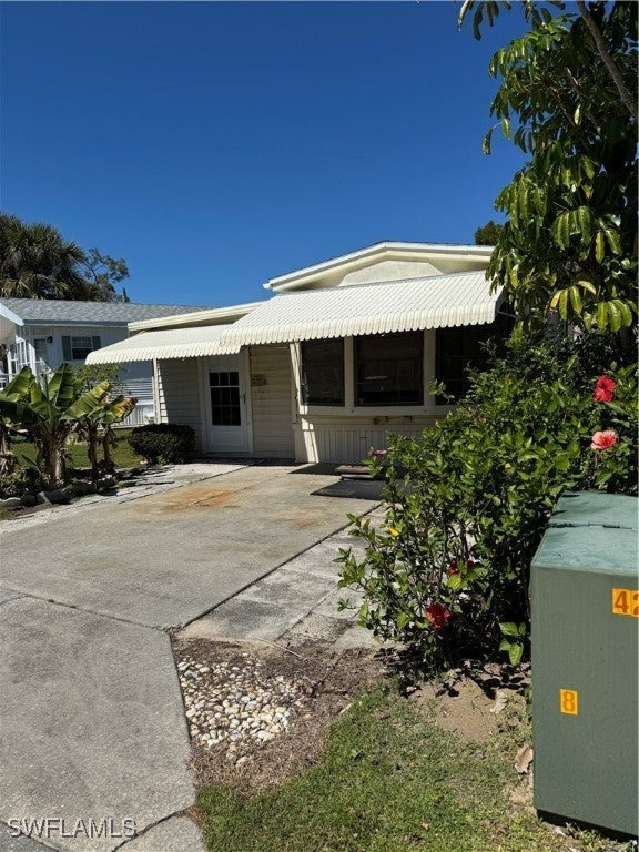 10848 Bonapartes Gull, ESTERO