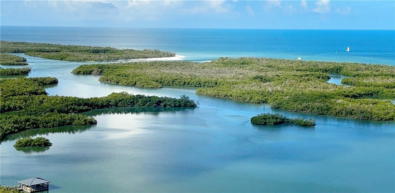 Photo of Listing #225048205