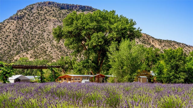 Purple Adobe Lavender Farm #25 Private Dr, Abiquiu