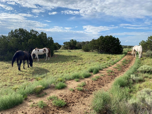 24 Lone Butte Drive, Santa Fe
