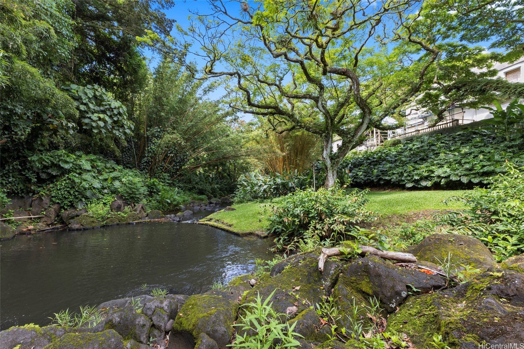 Photo of Listing #202516253