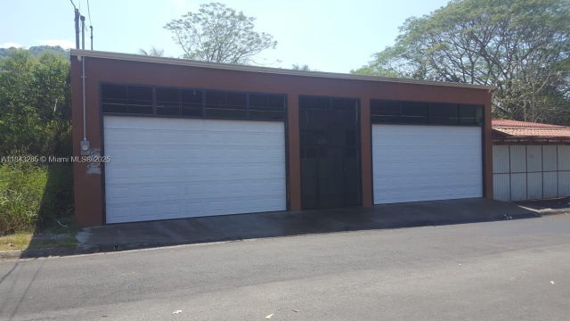 1 of 24 - 48 Pez Vela, , 