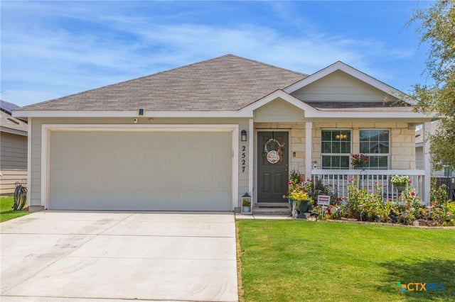 2527 Pechora Pipit, New Braunfels