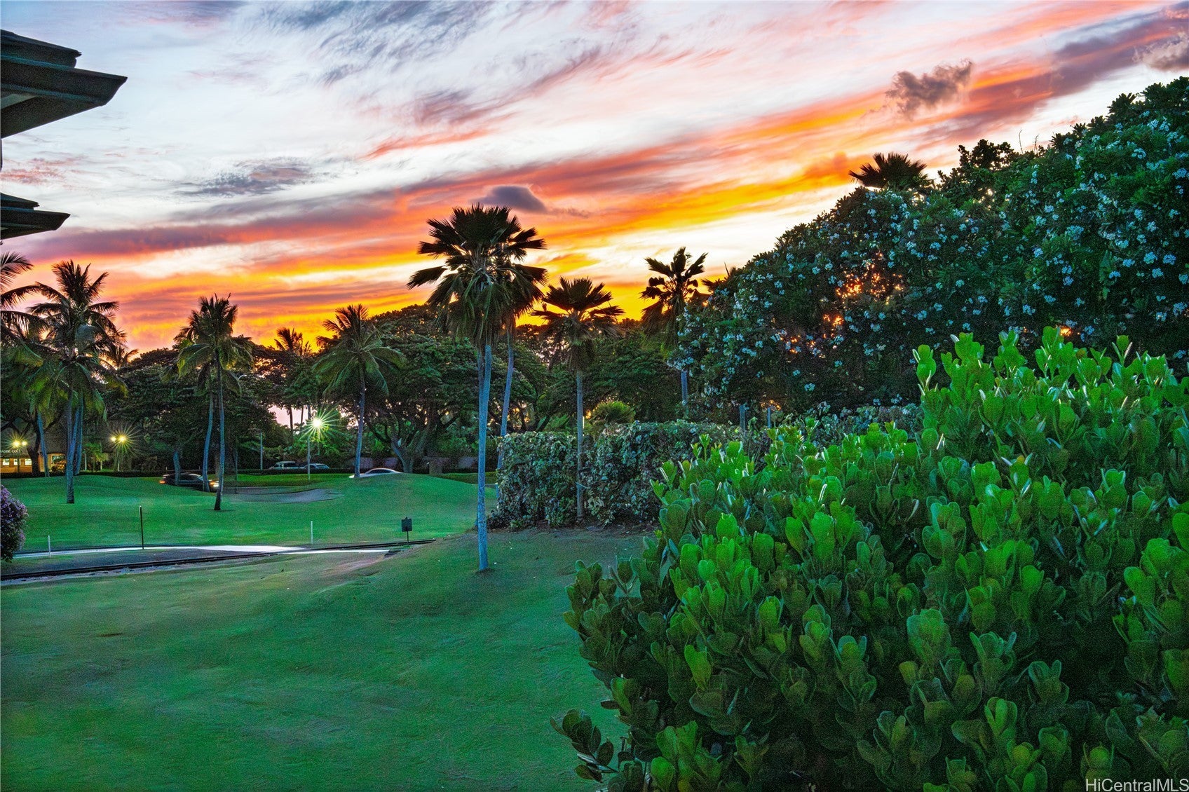 Photo of Listing #202517233