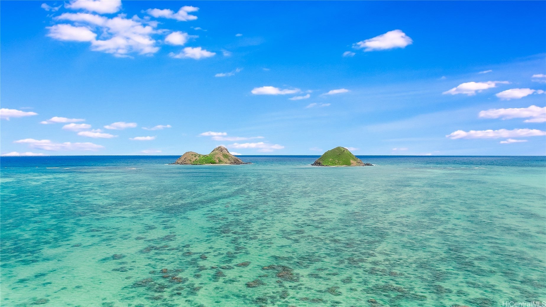 Photo of Listing #202521930