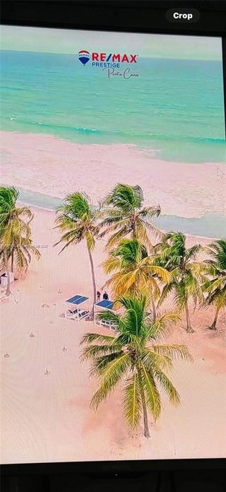 Photo of Listing #A11901406