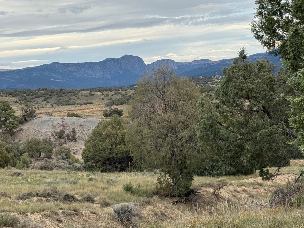 31 Bobcat Loop, Los Ojos