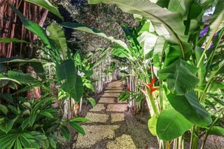 Photo of Listing #A11907727