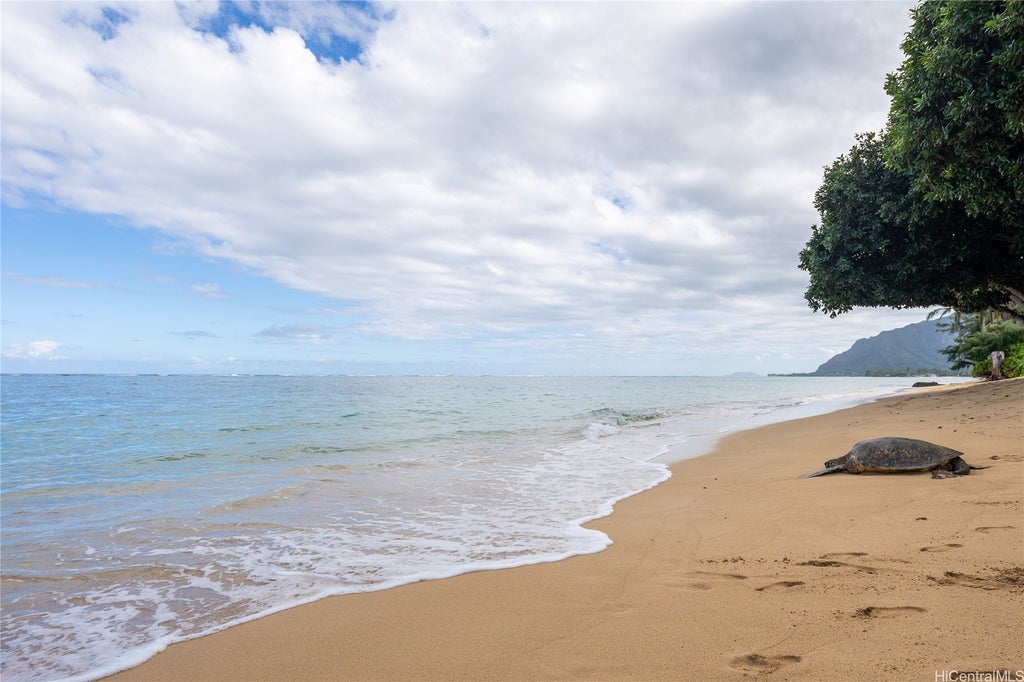 (unit #209) 53-549 Kamehameha Highway, Hauula