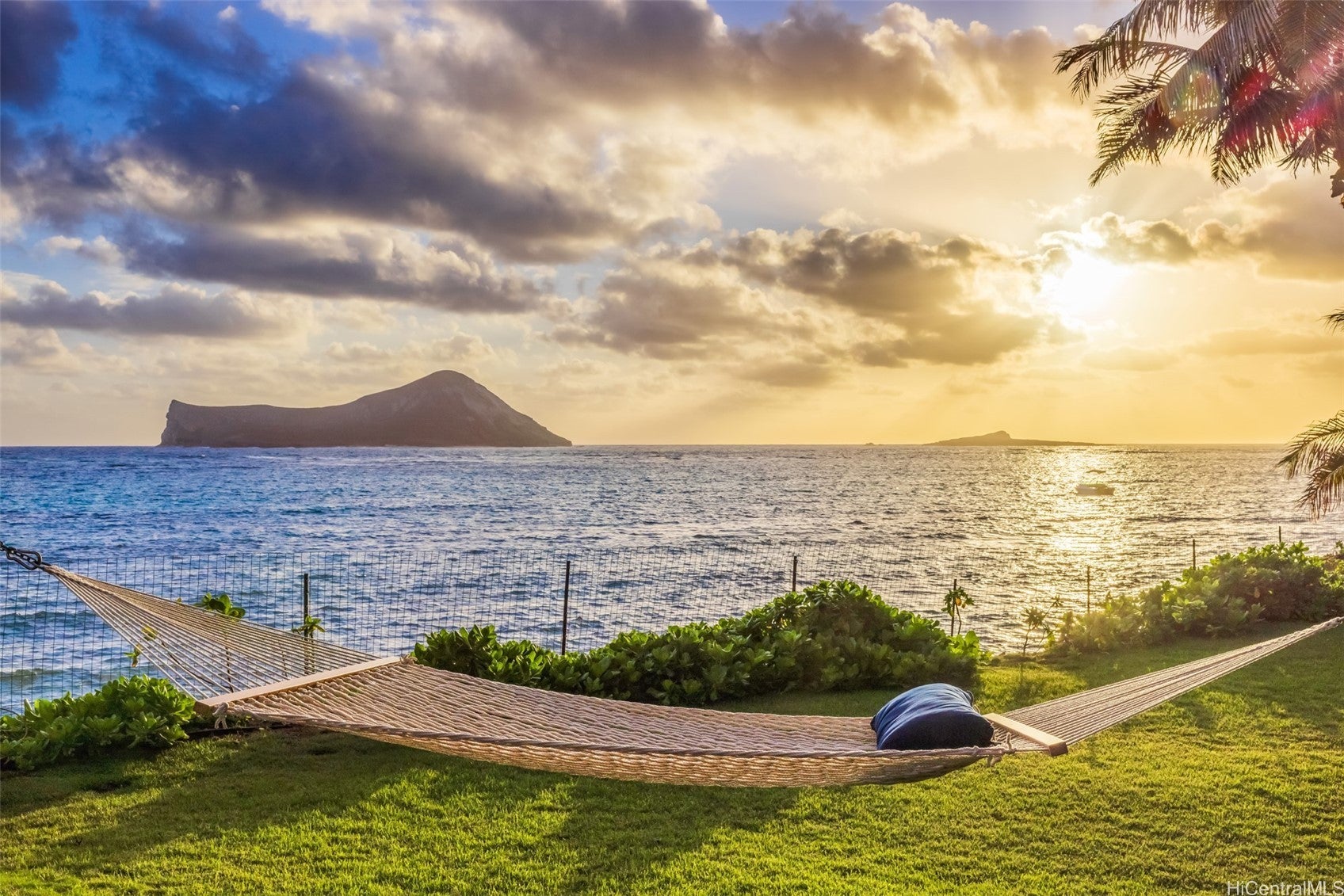 Photo of Listing #202525519