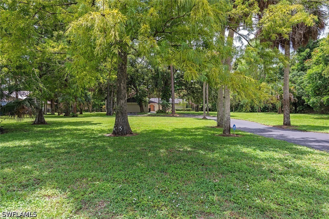 Photo of Listing #226028934