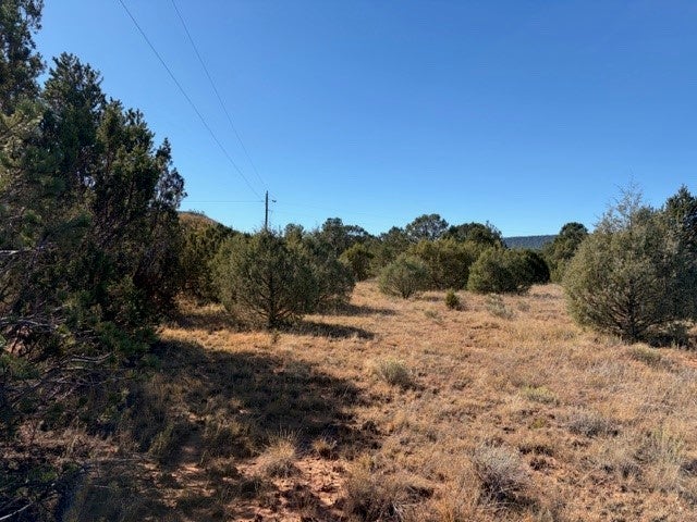 Tract A 4.73 Acres Off Of Lower La Joya Road, Glorieta
