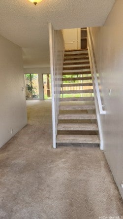 Photo of Listing #202517053