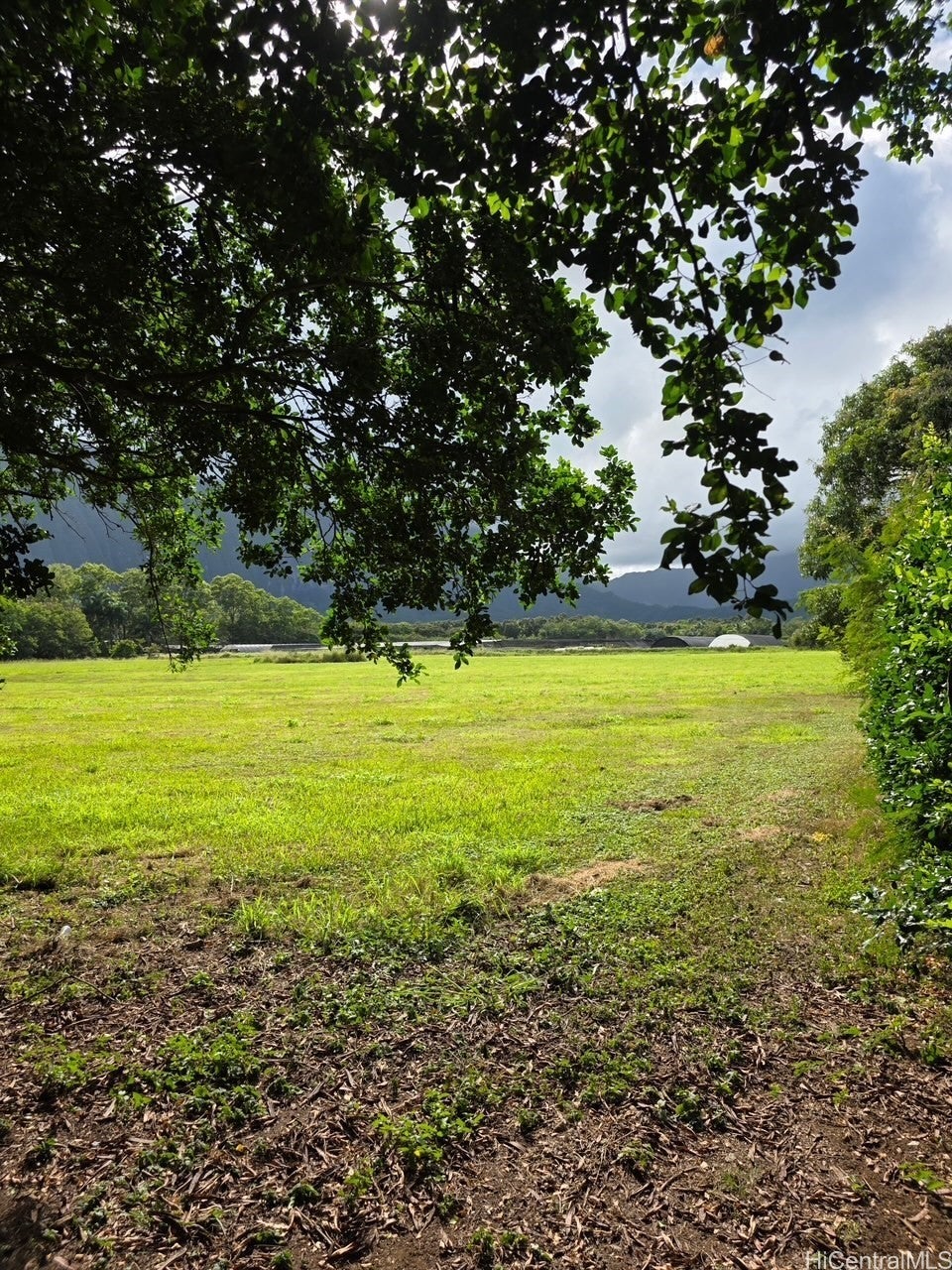 Photo of Listing #202507632