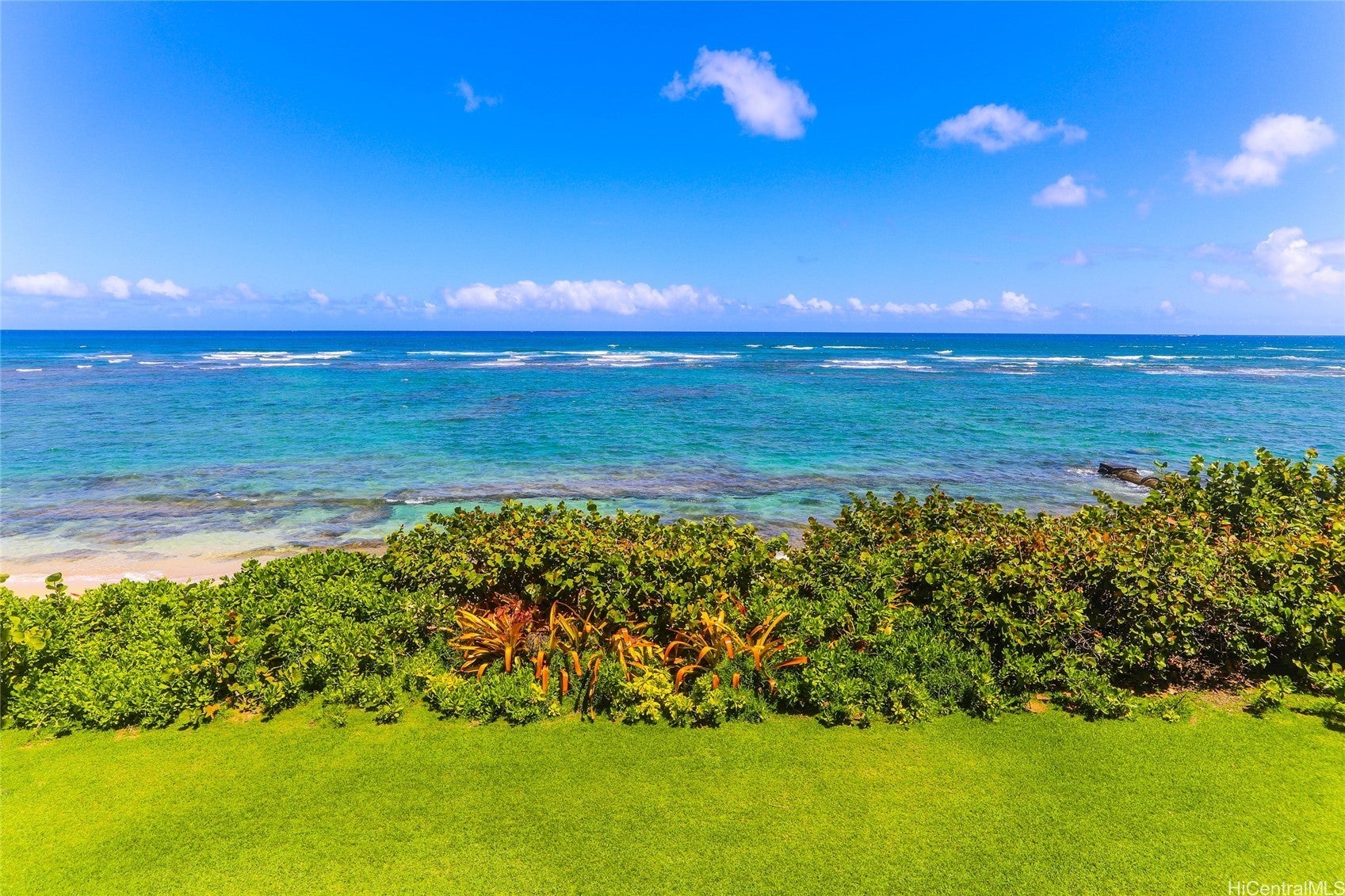 Photo of Listing #202510104