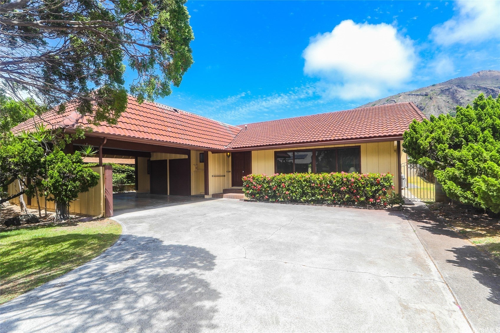 Photo of Listing #202514888