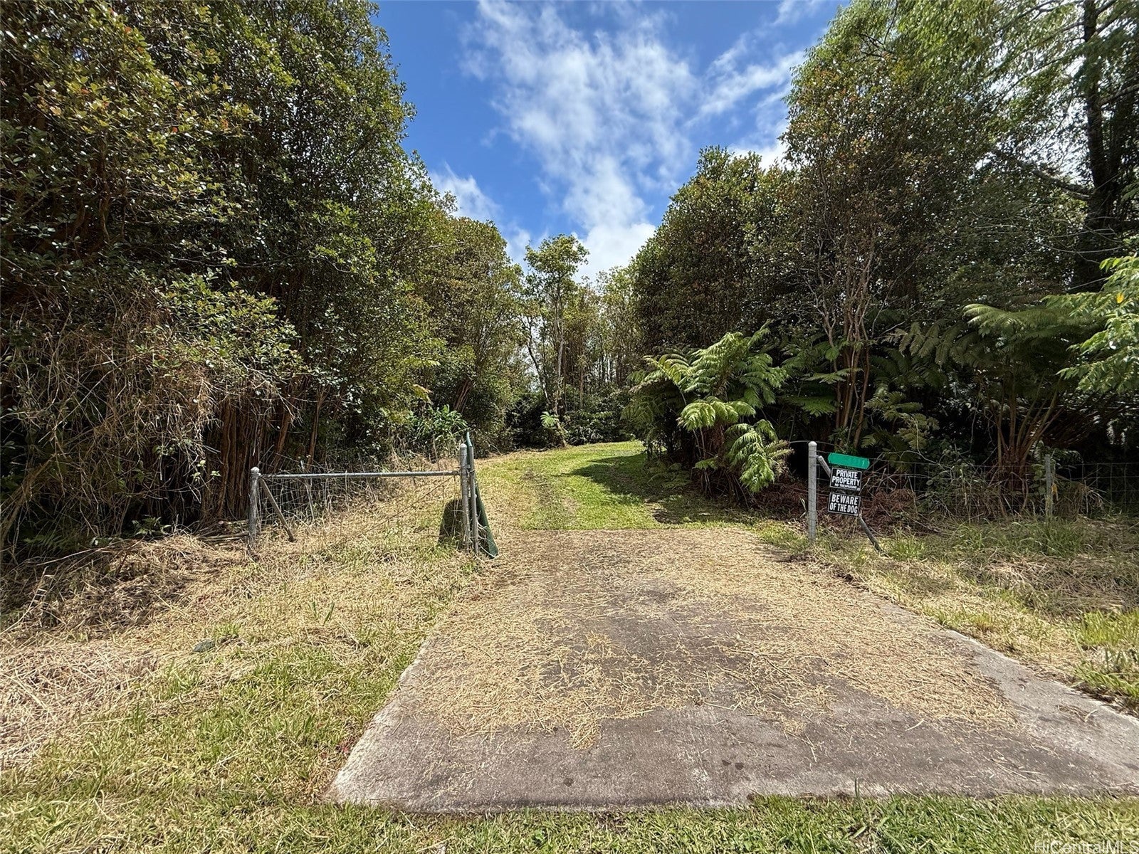 Photo of Listing #202515999