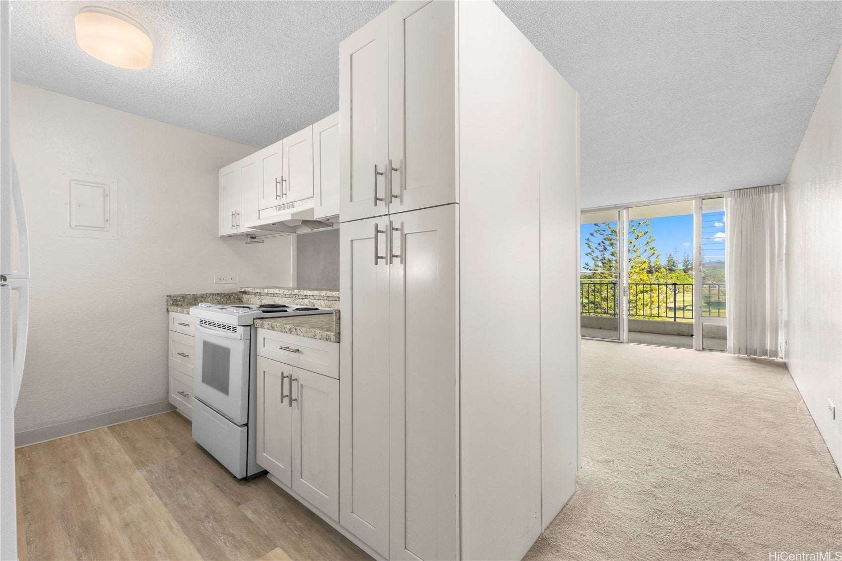 Photo of Listing #202522040