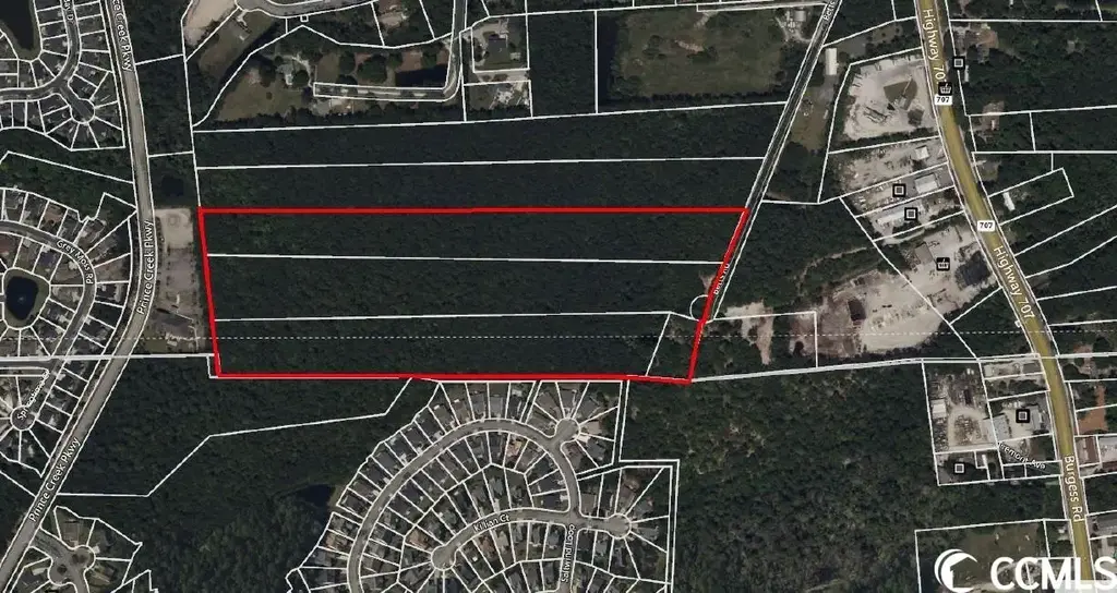 Tbd Betts Rd., Murrells Inlet