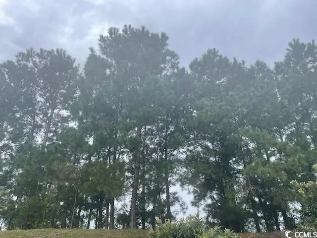 Photo of Listing #2320710