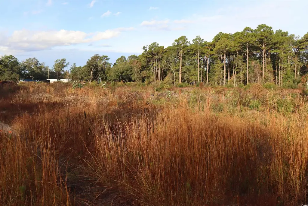 7765 Ocean Hwy., Pawleys Island