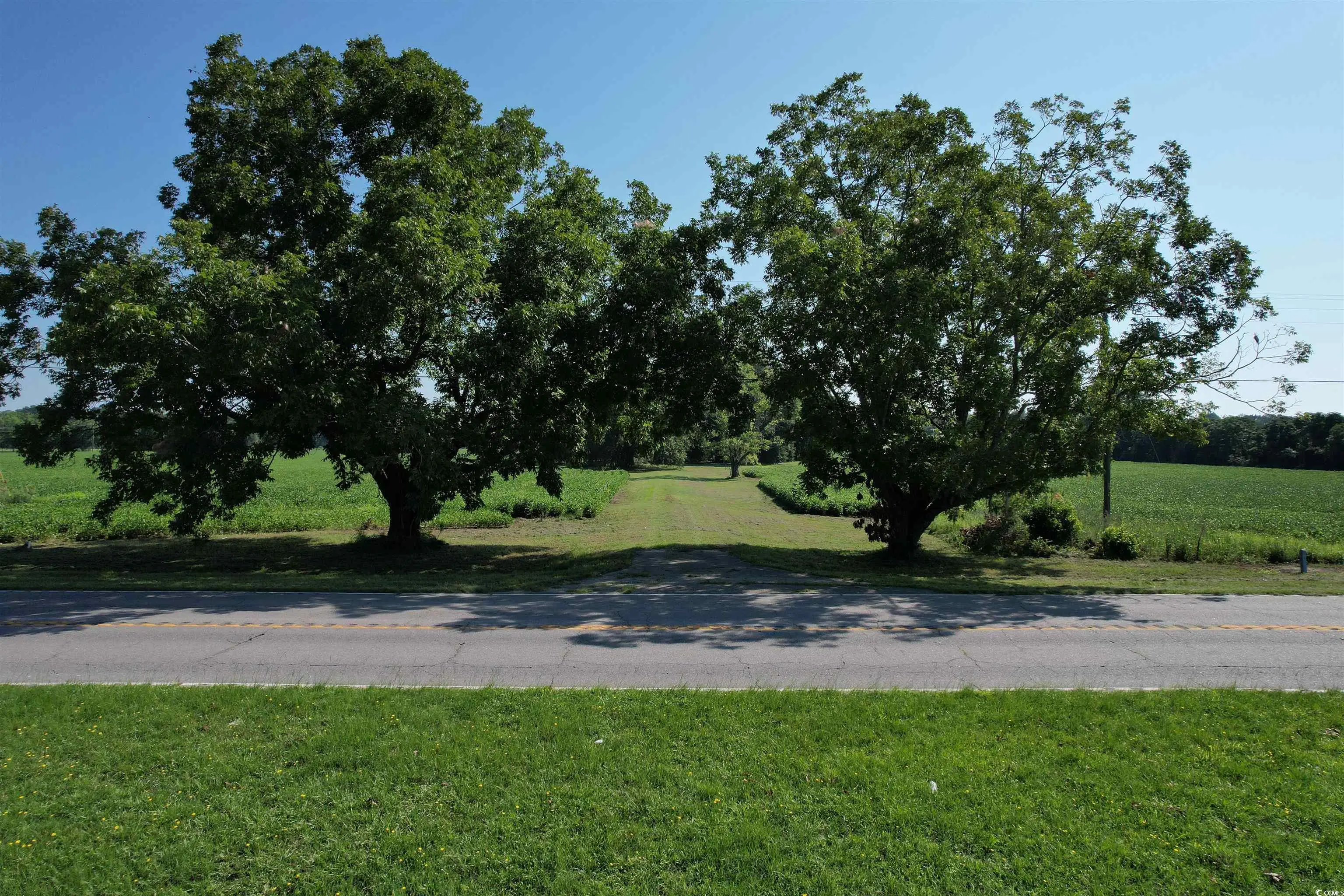 Photo of Listing #2418919