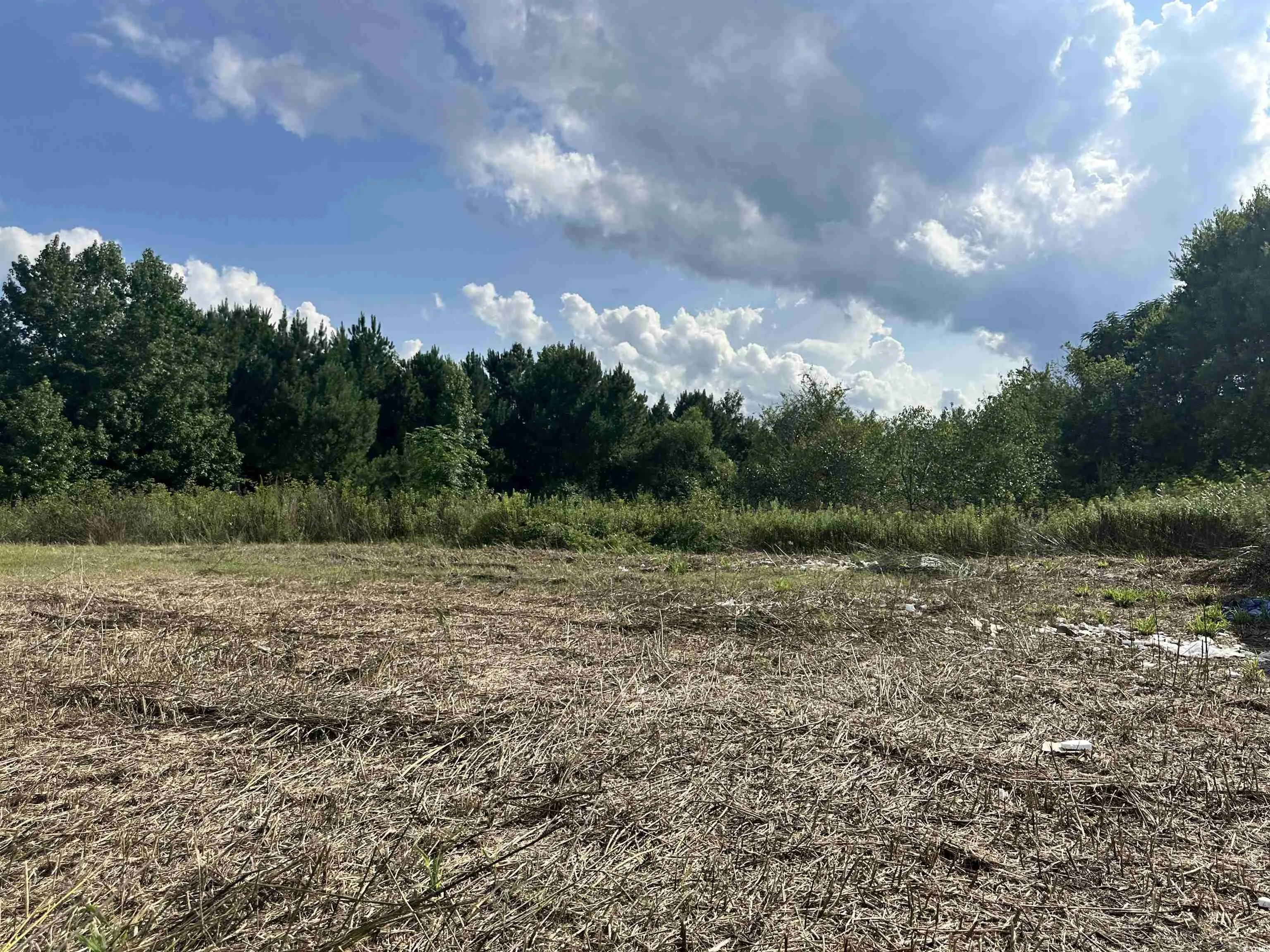 Photo of Listing #2500724