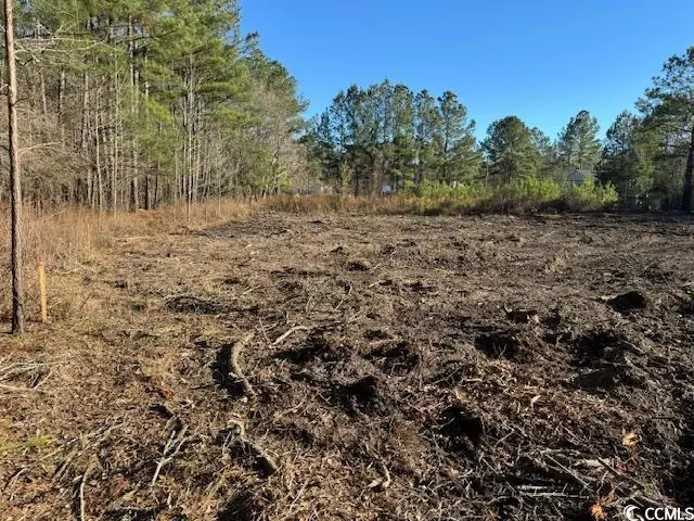 Photo of Listing #2505872