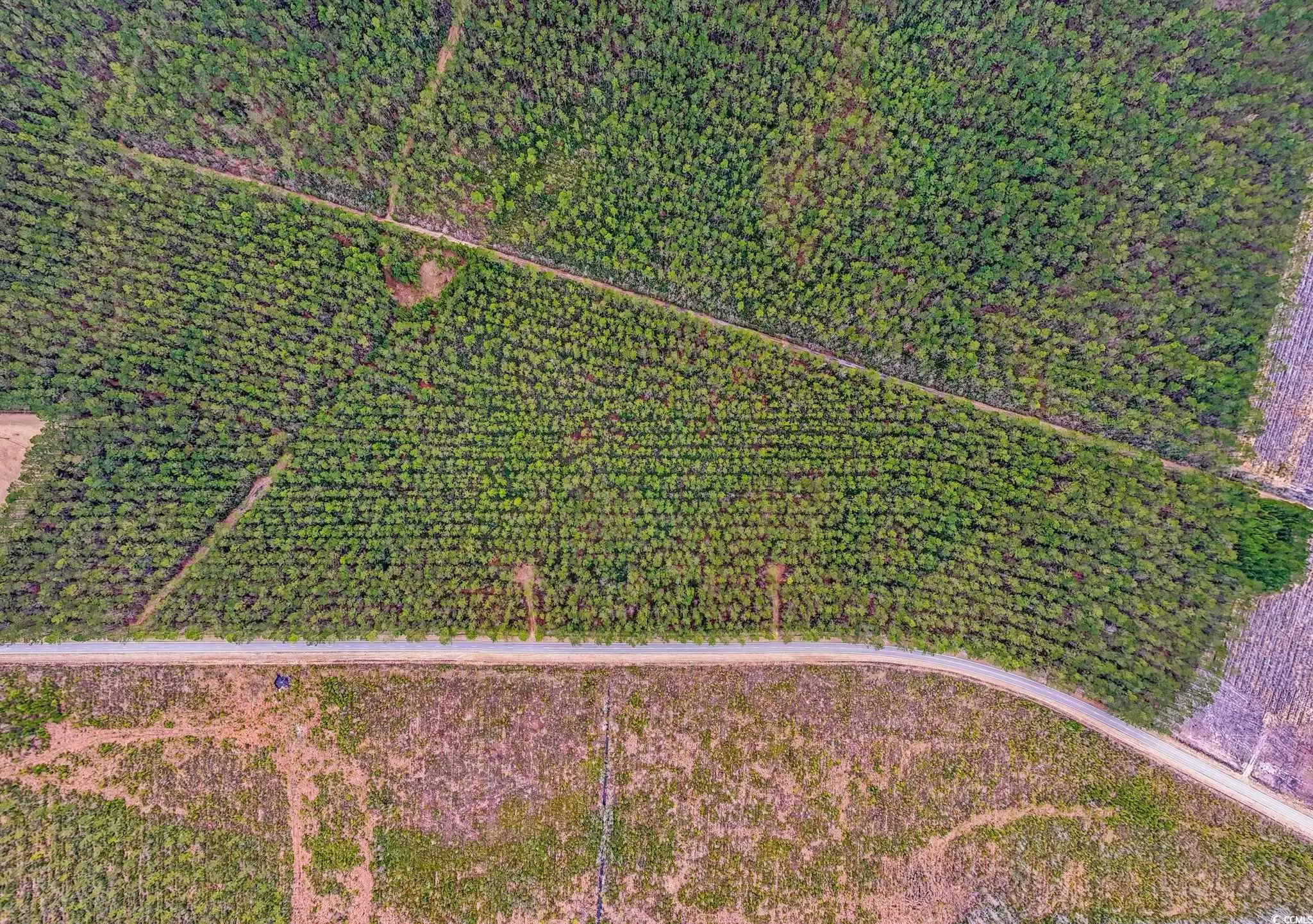 Photo of Listing #2507203