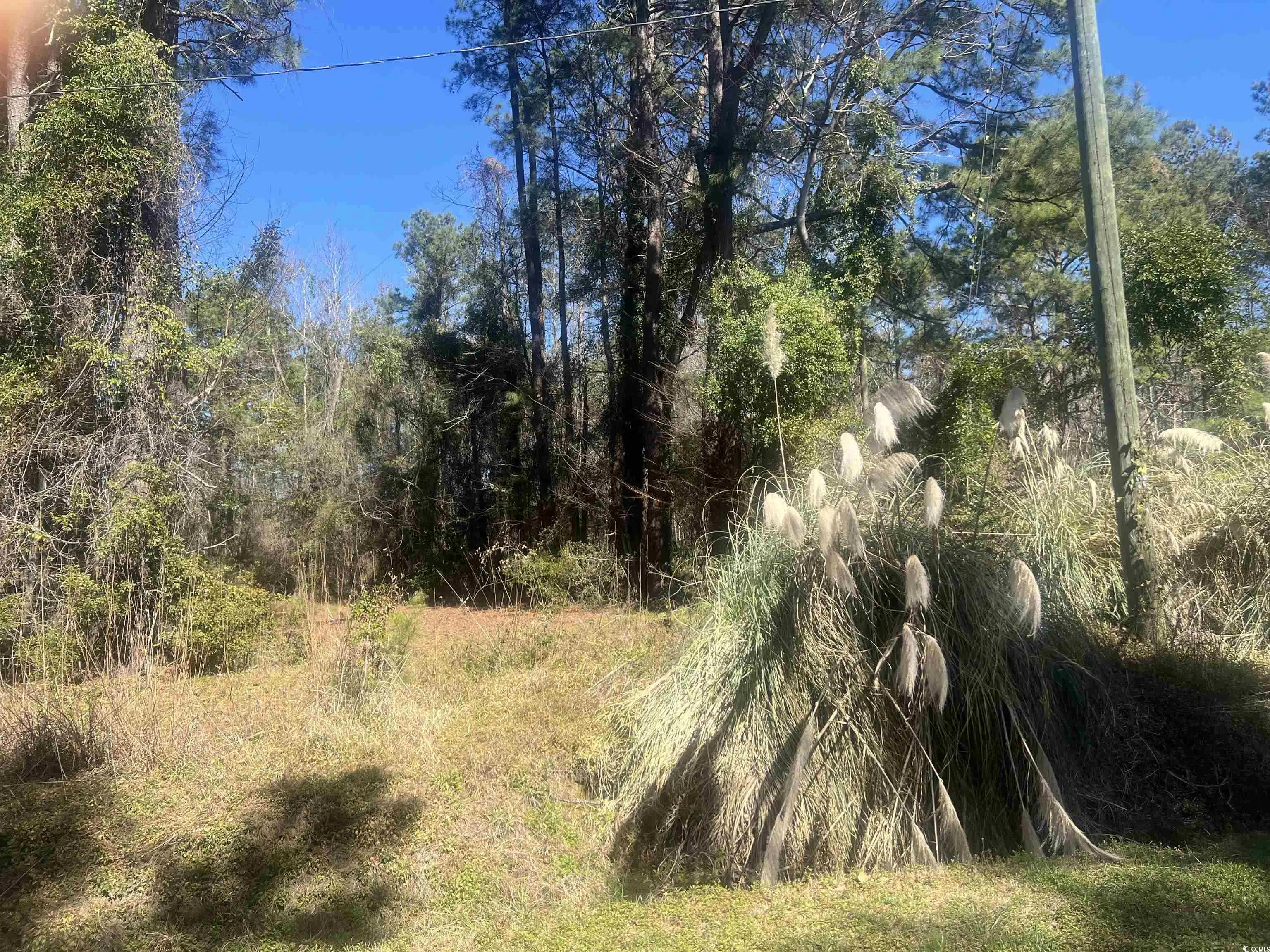 Photo of Listing #2509726