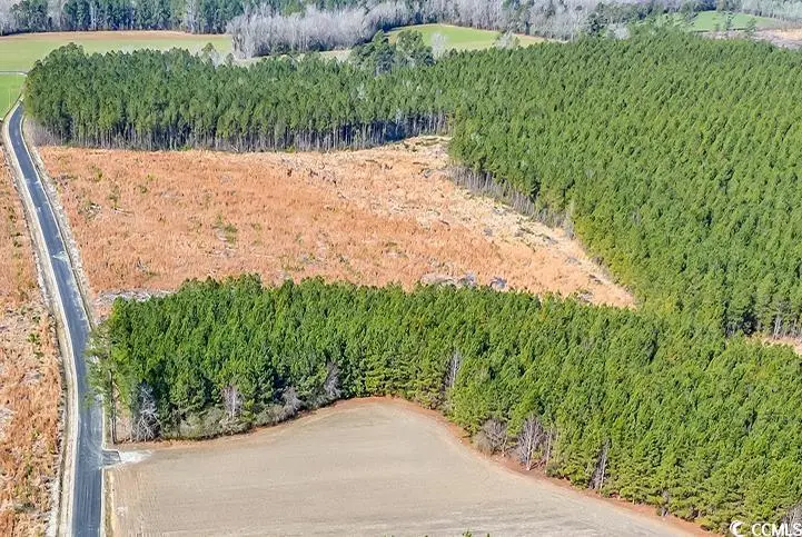 Photo of Listing #2513398