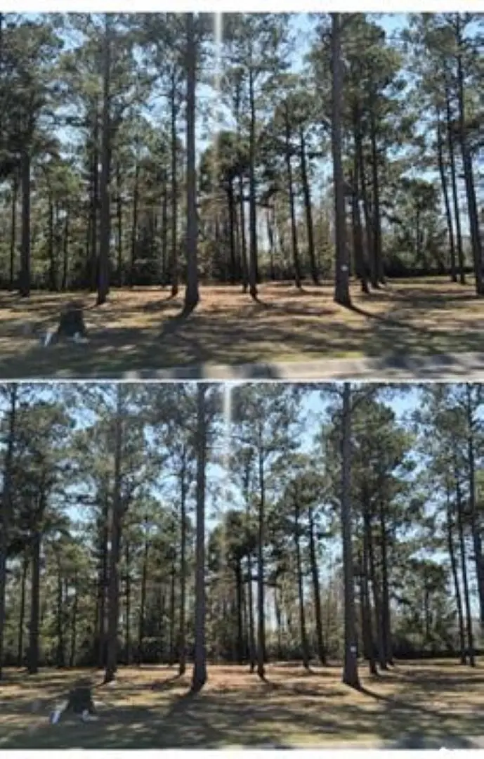 Photo of Listing #2515605