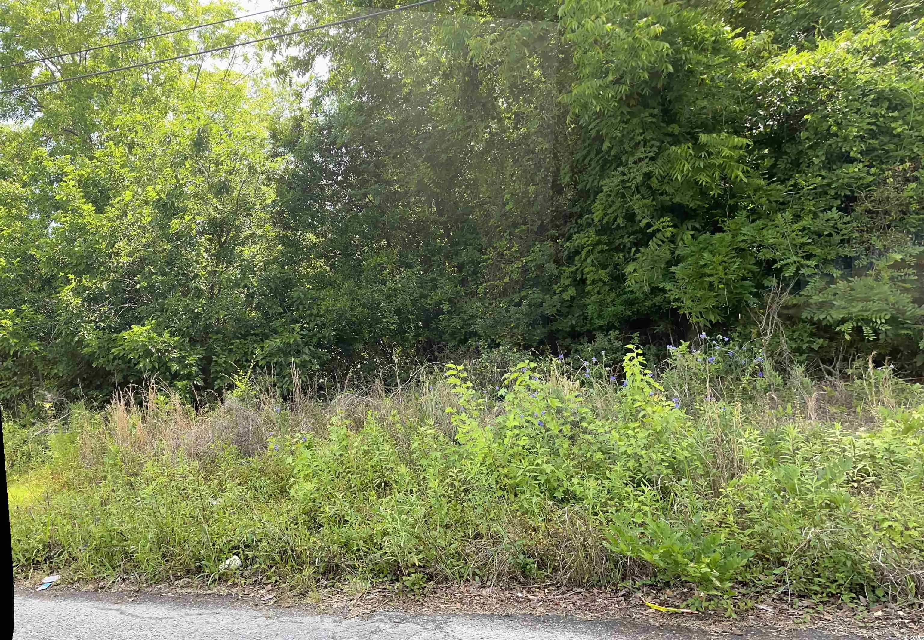 Photo of Listing #2517150