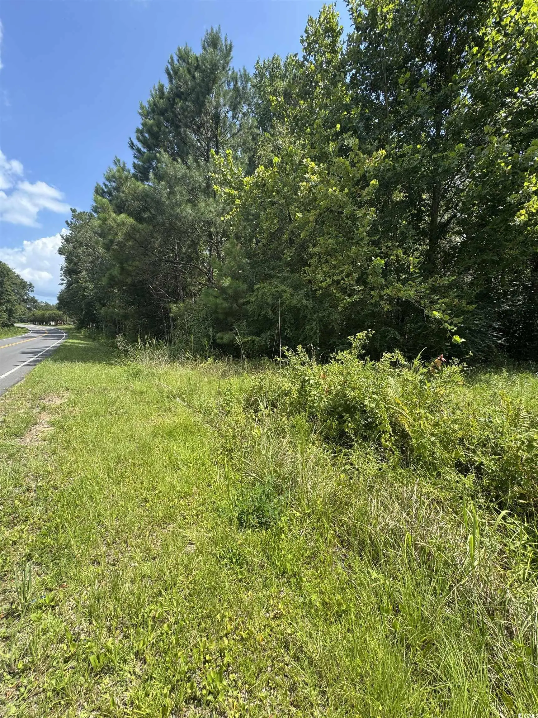 Photo of Listing #2518077