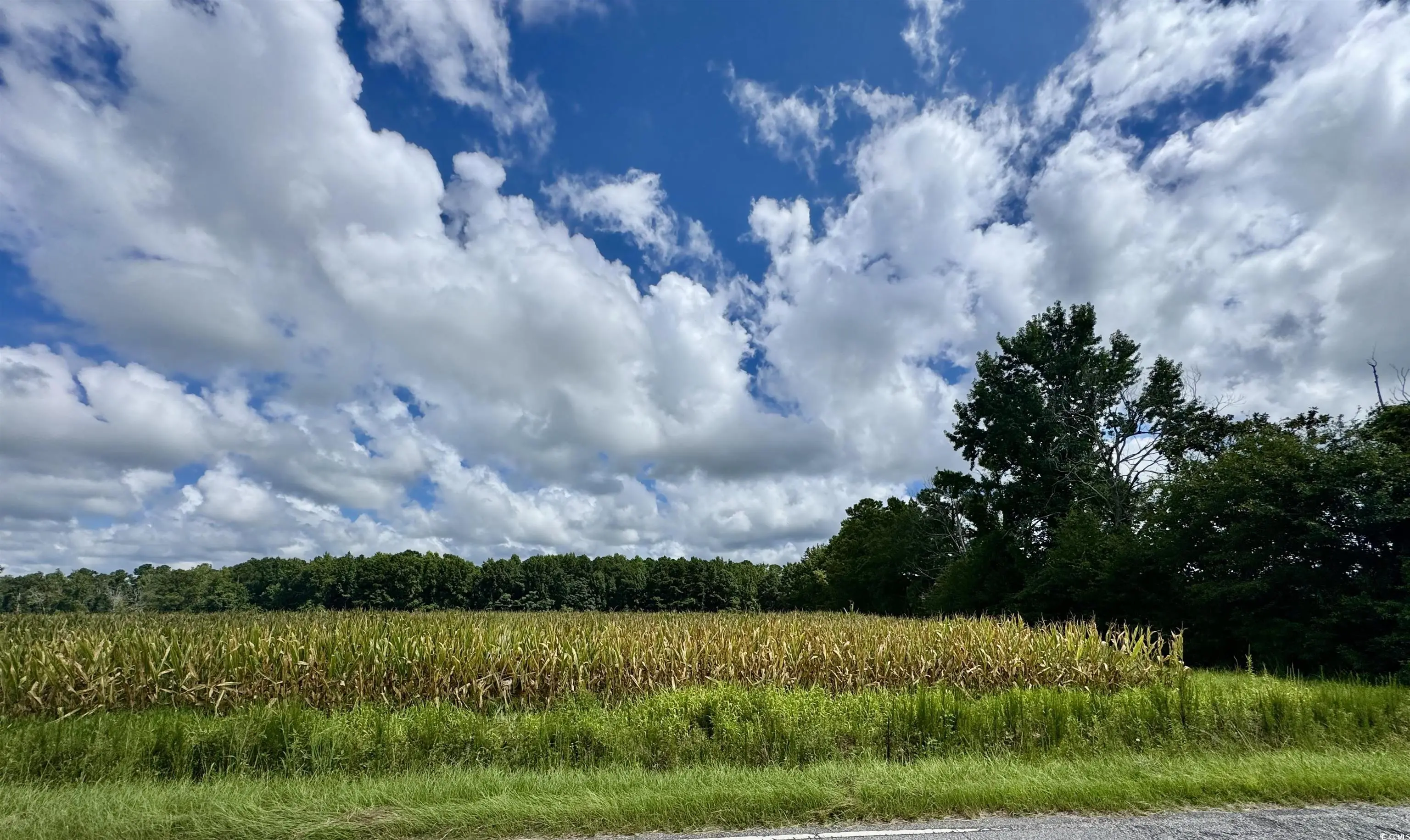 Photo of Listing #2518104