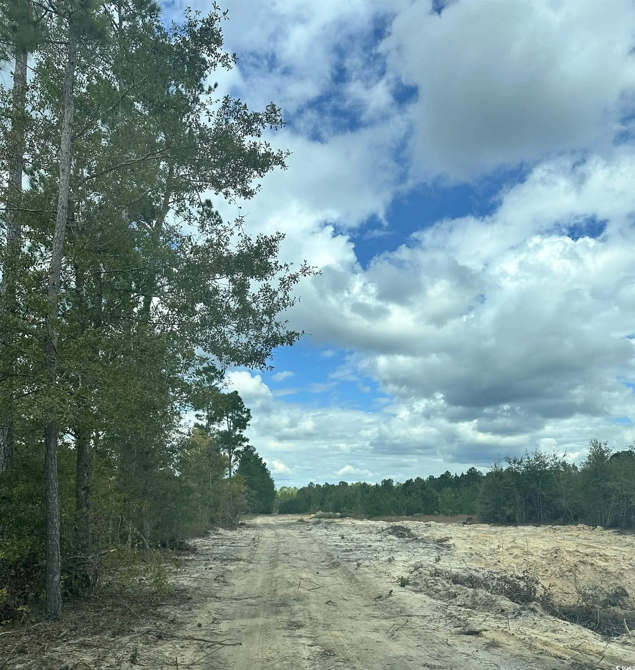 Photo of Listing #2521474