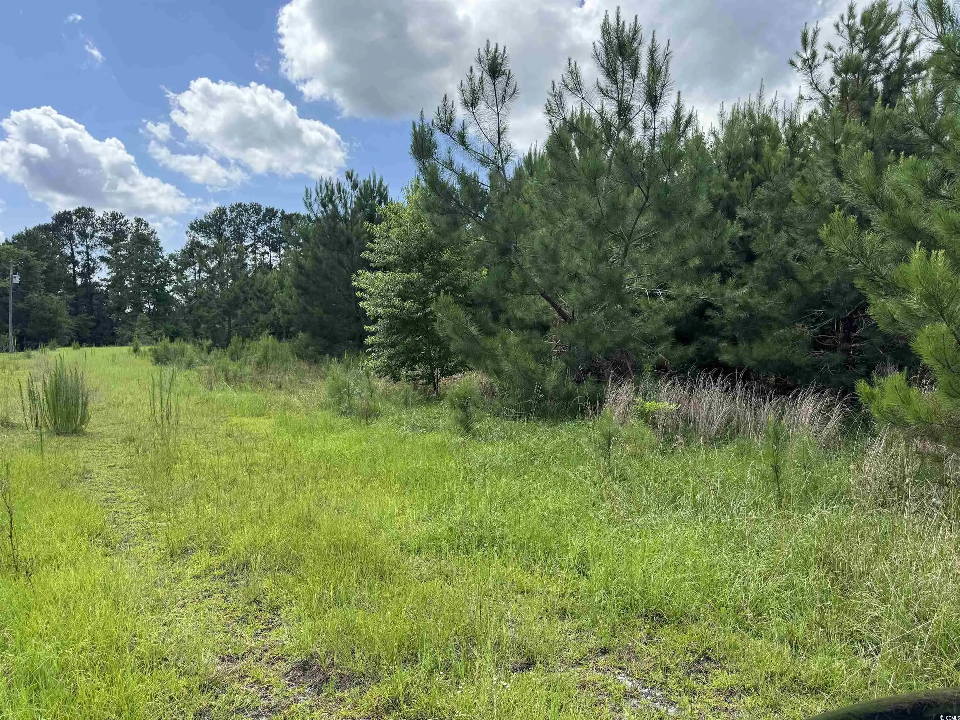 Photo of Listing #2521750