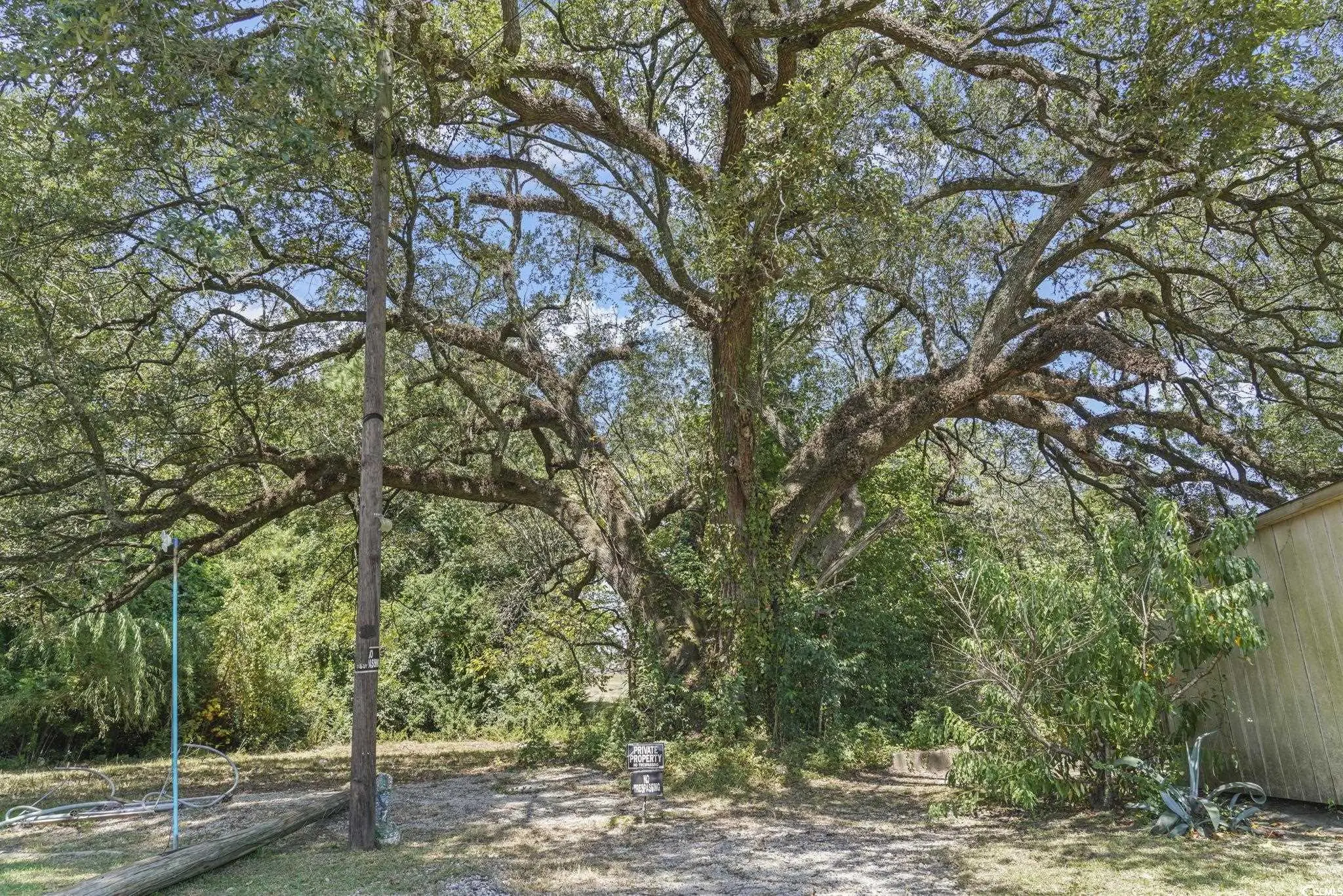 Photo of Listing #2521883