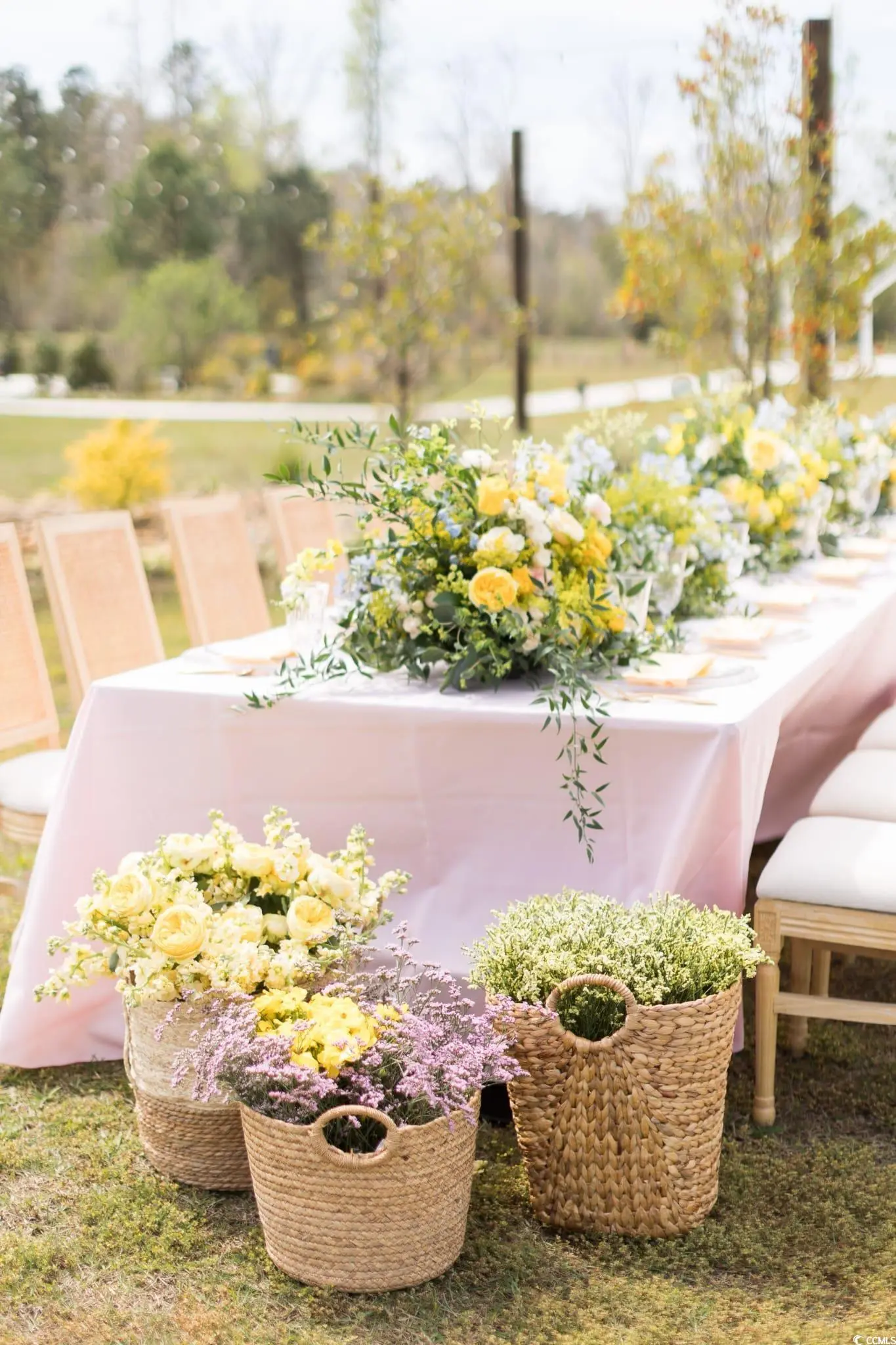 Photo of Listing #2524198