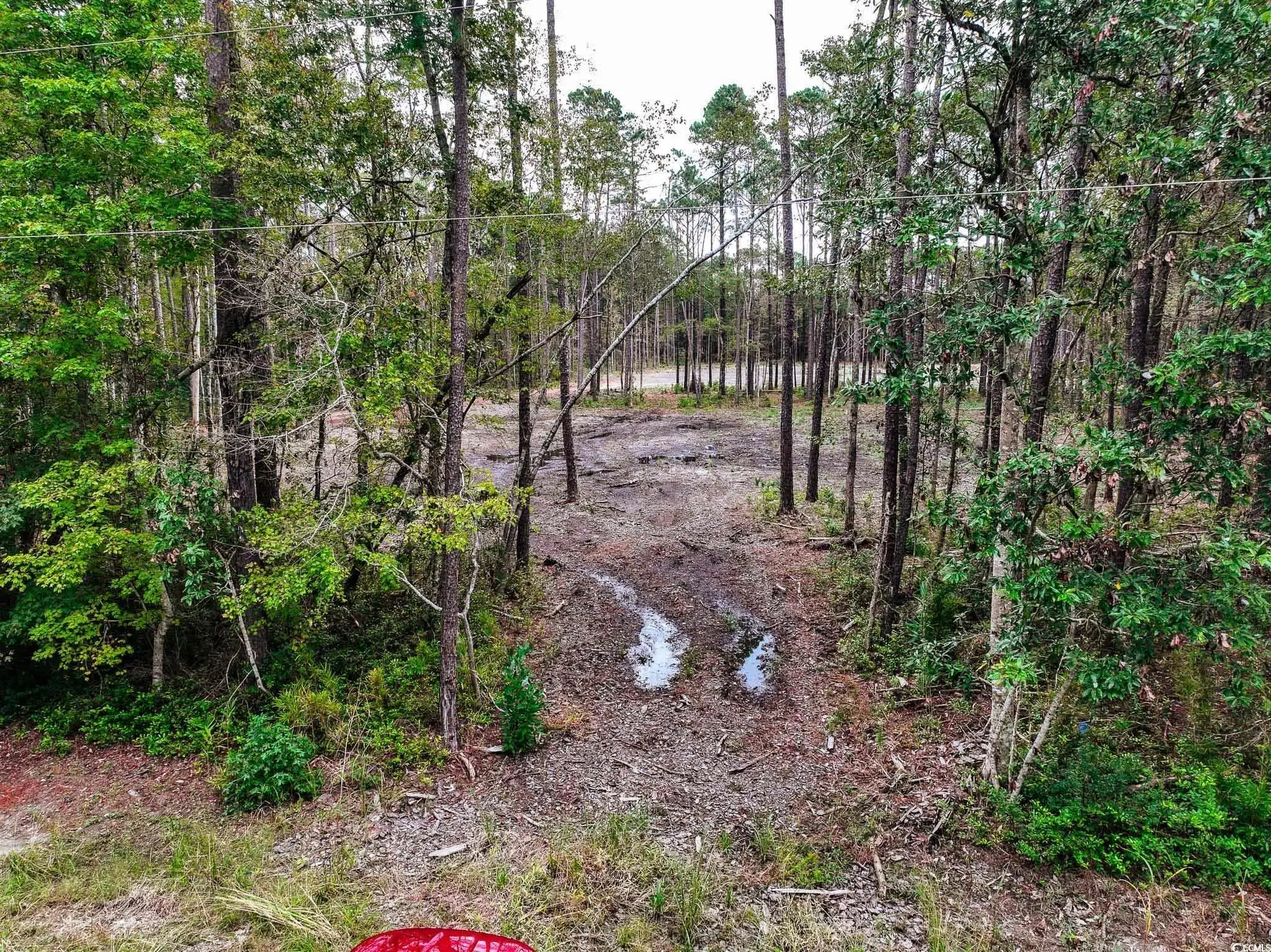 Photo of Listing #2525021