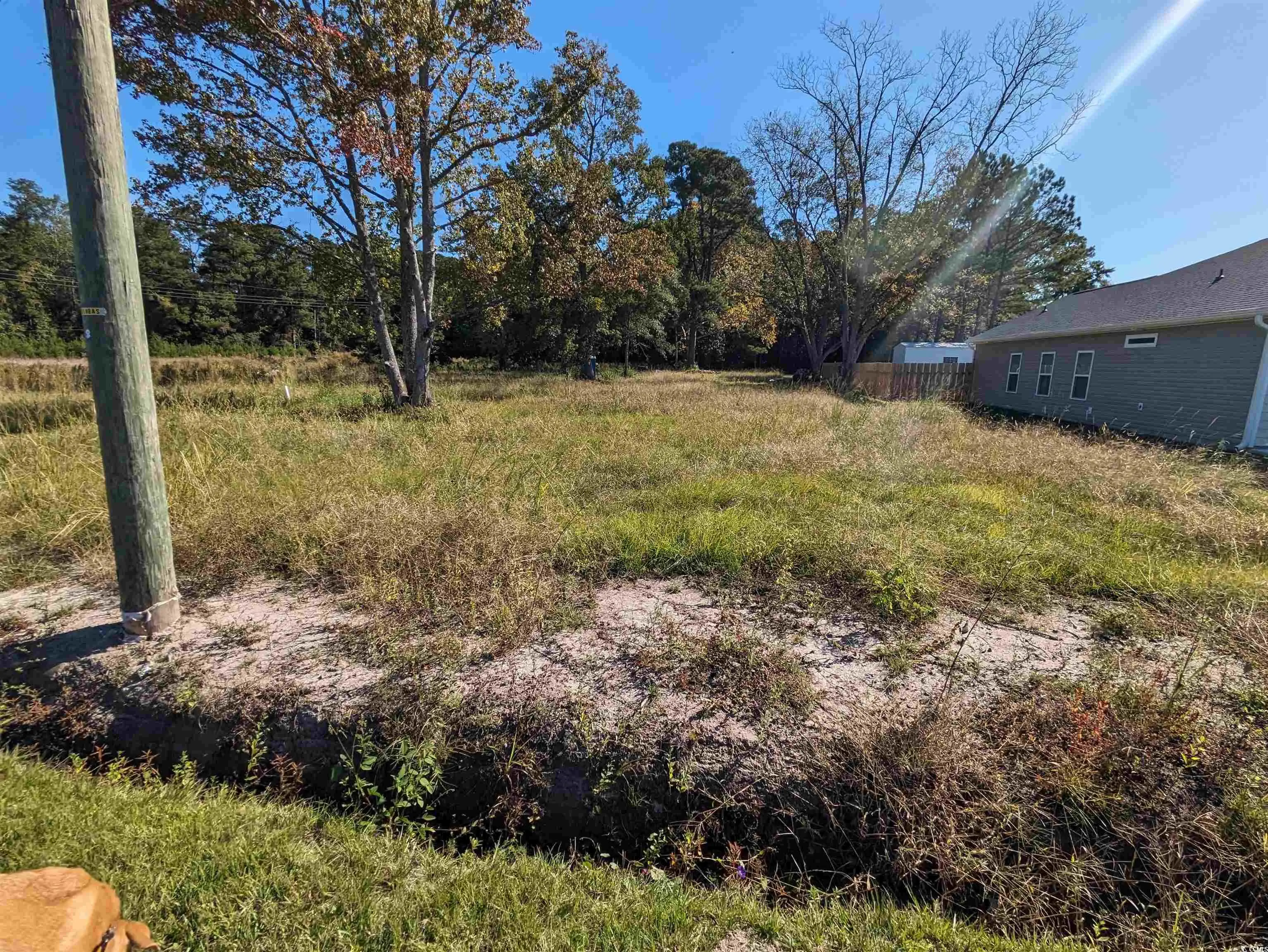 Photo of Listing #2525549