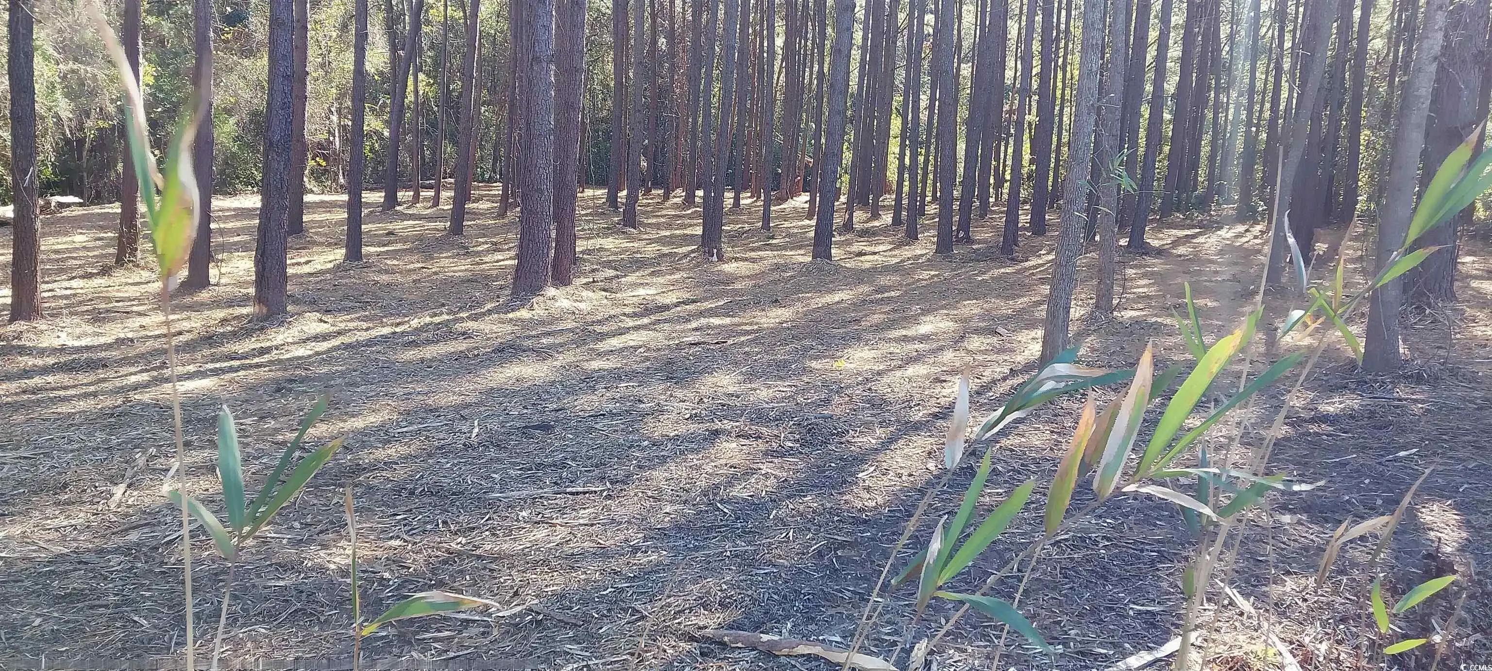 Photo of Listing #2527840