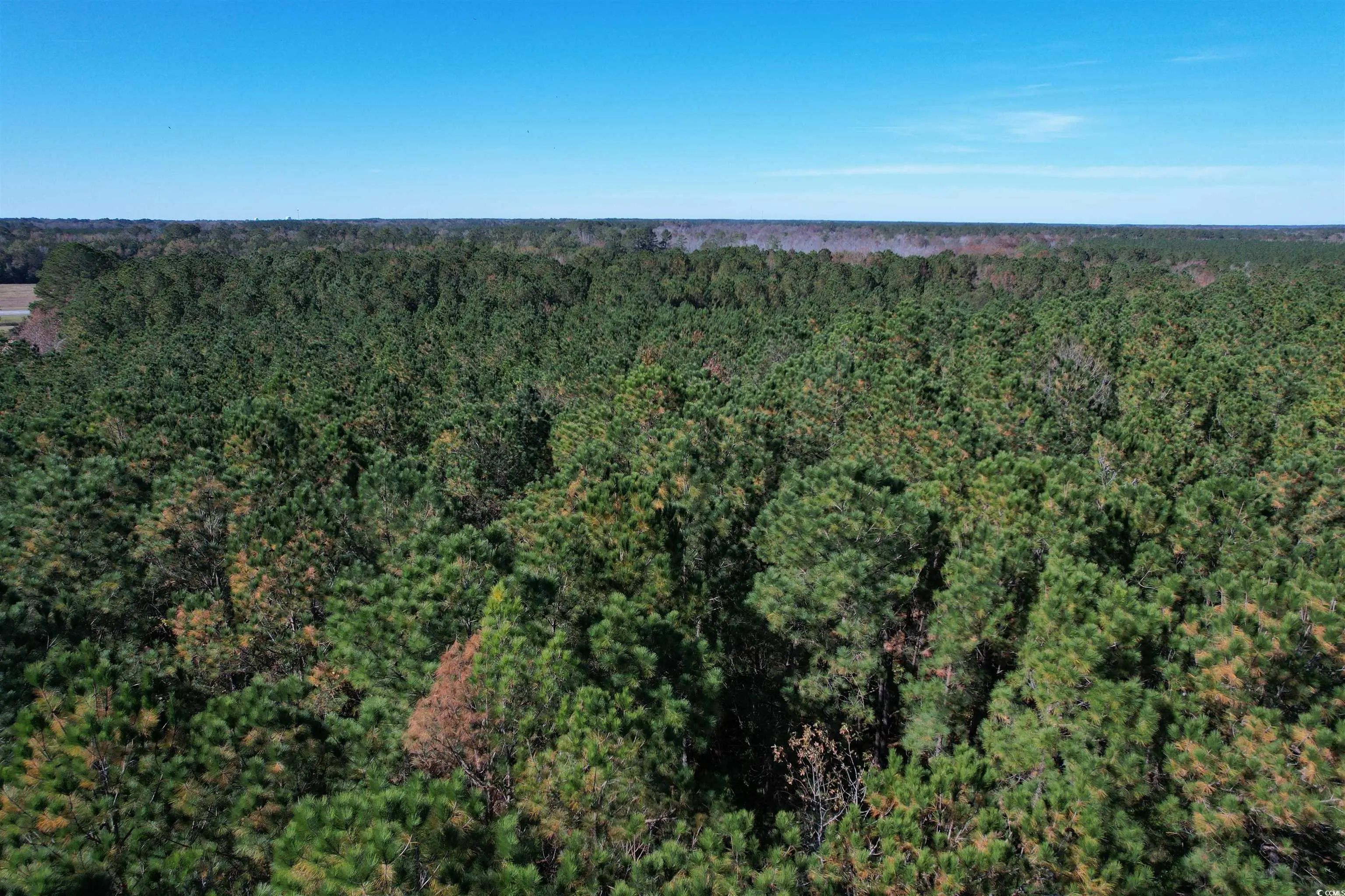 Photo of Listing #2527870