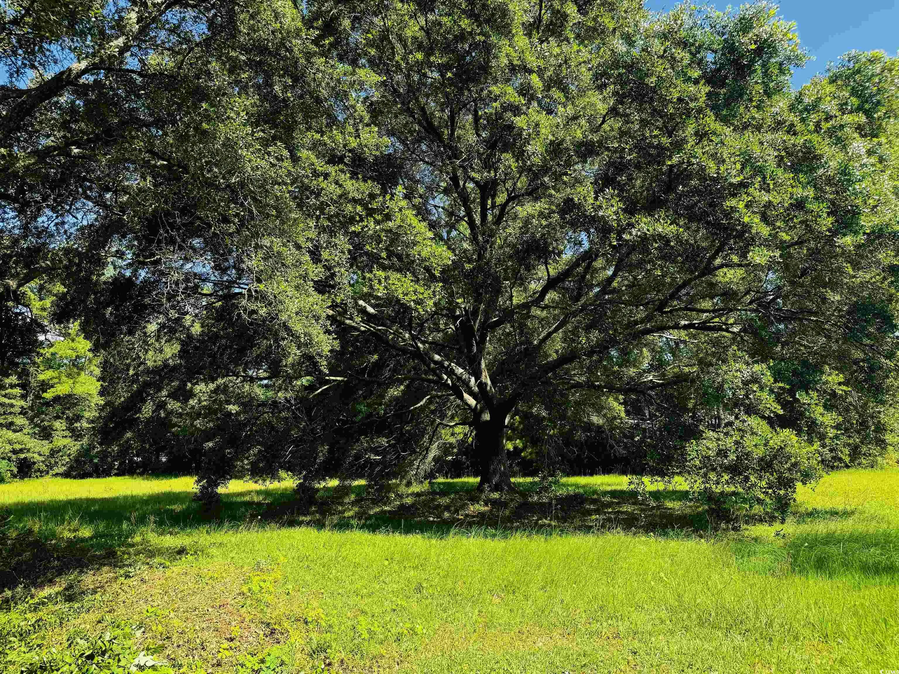 Photo of Listing #2528256