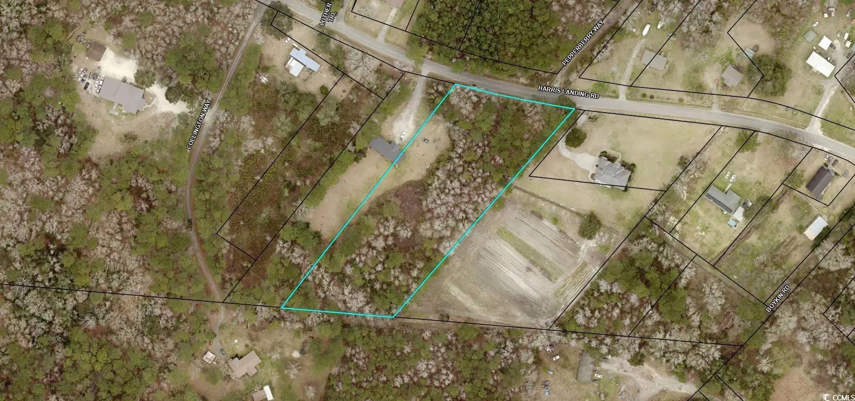 Photo of Listing #2528286